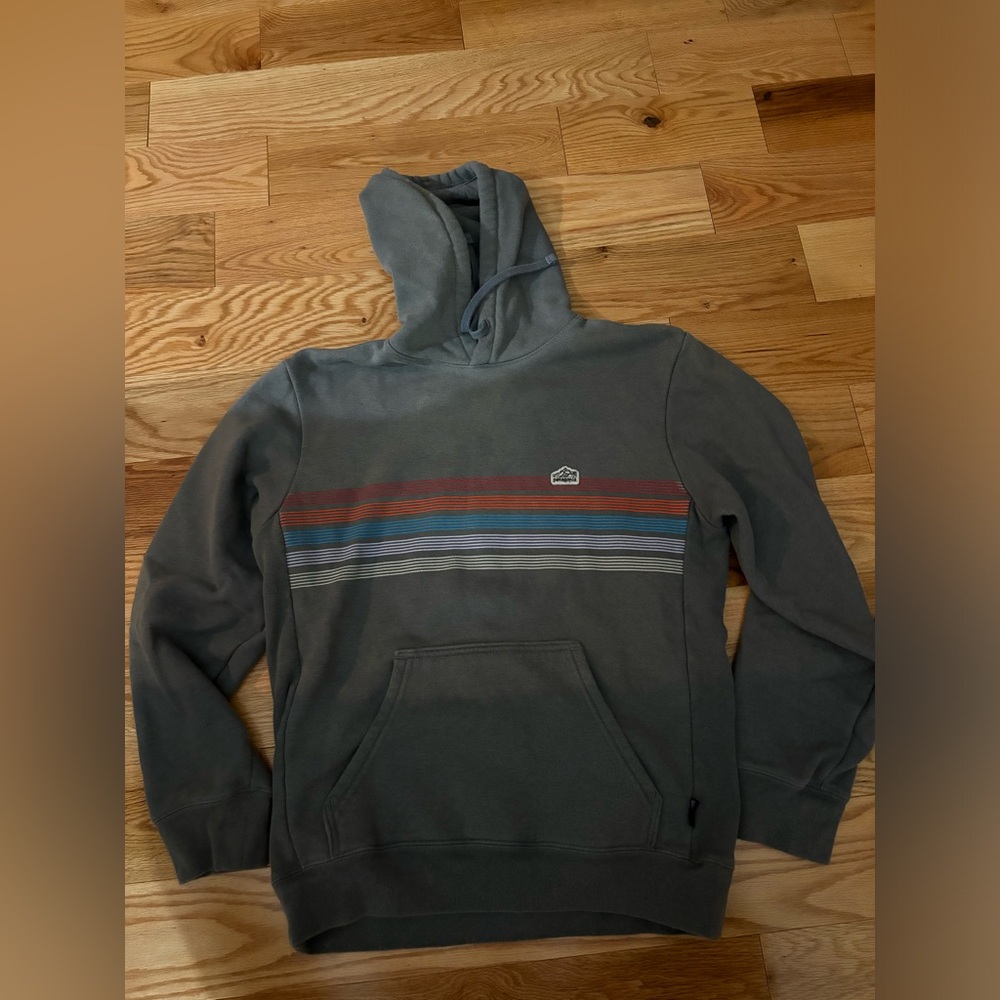 Patagonia hoodie